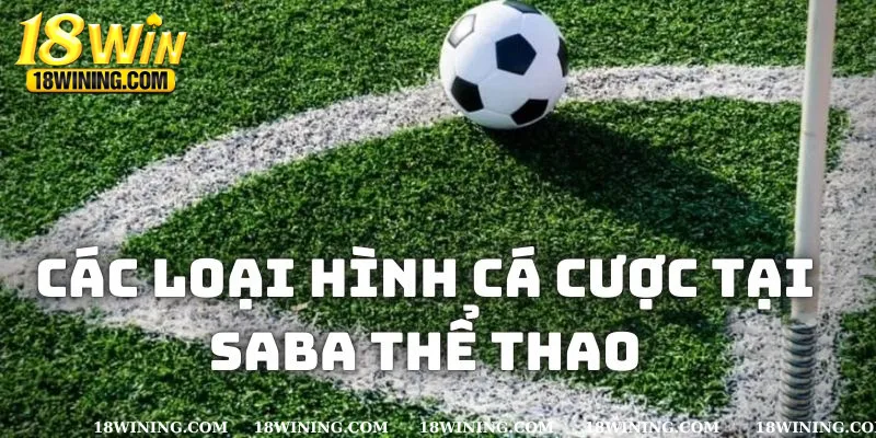 Các loại hình cá độ có mặt tại SABA thể thao