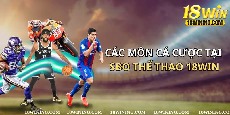 Một số bộ môn cá cược nổi bật tại SBO thể thao 18WIN